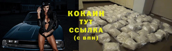 бошки Бородино