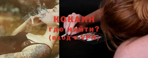 бошки Бородино