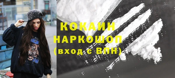 бошки Бородино